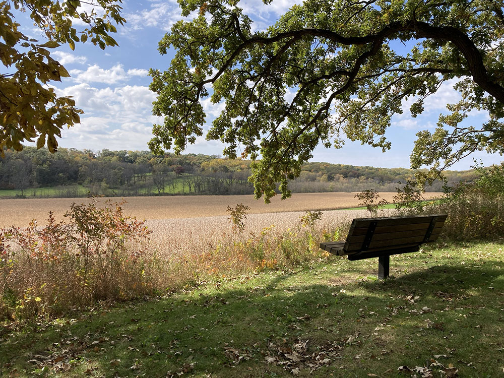 A knoll with mature oaks and hickories offers a great place to rest and reflect.