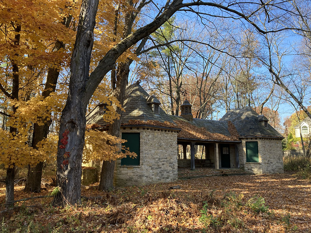 Virginia creeper adds a blaze of deep red amid the maple yellows beside the bathhouse. 