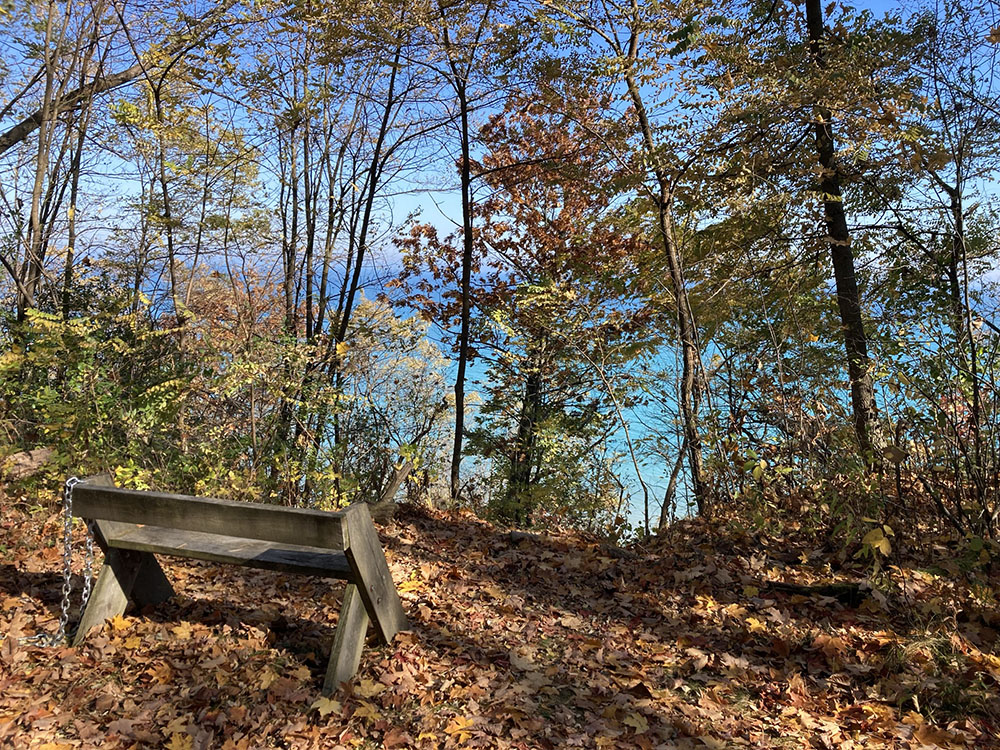 A bench provides a resting place with a view and a cool lake breeze.