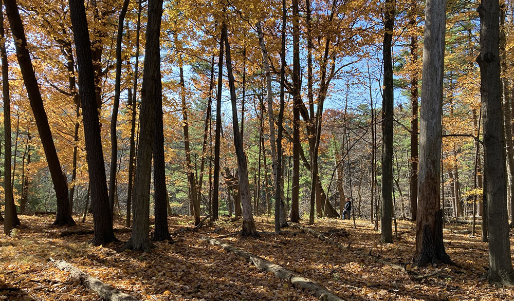 Donges Bay Gorge