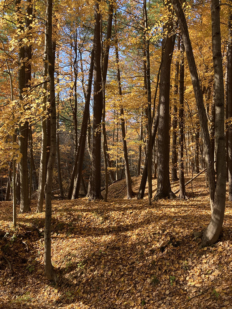 Golden light blazes through the ravines.