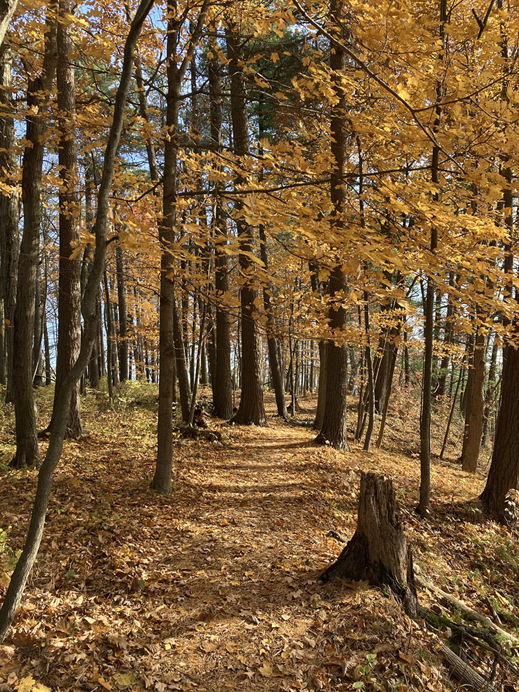 The path leads toward Lake Michigan blue.