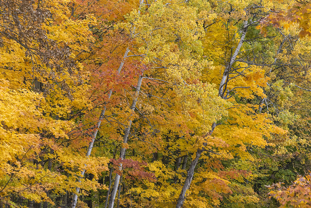 Menomonee Park, Waukesha County