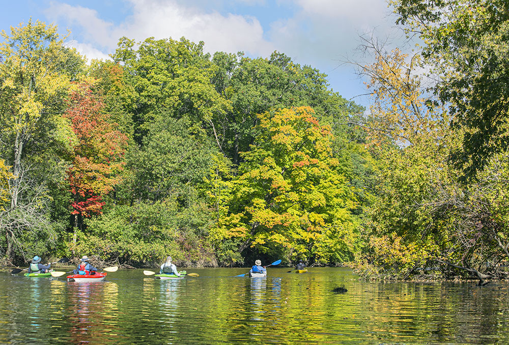 Kayakers in a blaze of autumn on the Root River in Racine.