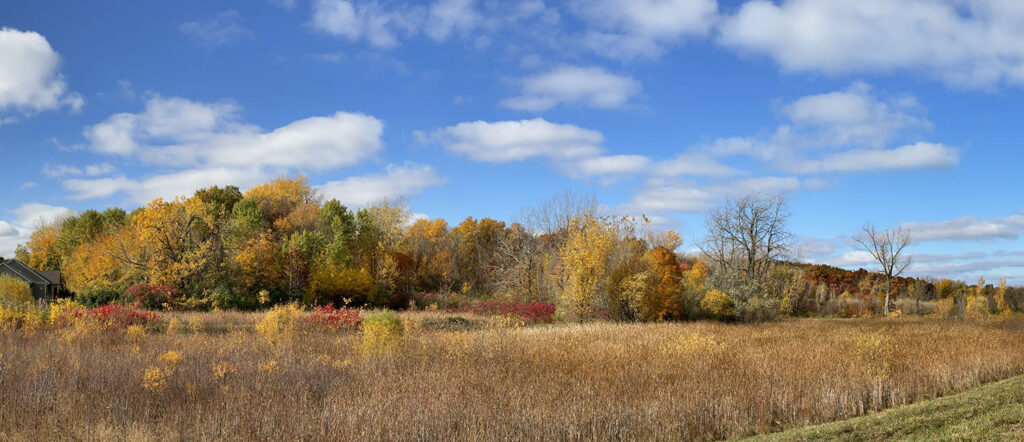 Seminary Woods viewed from Nojoshing Trail, Milwaukee County