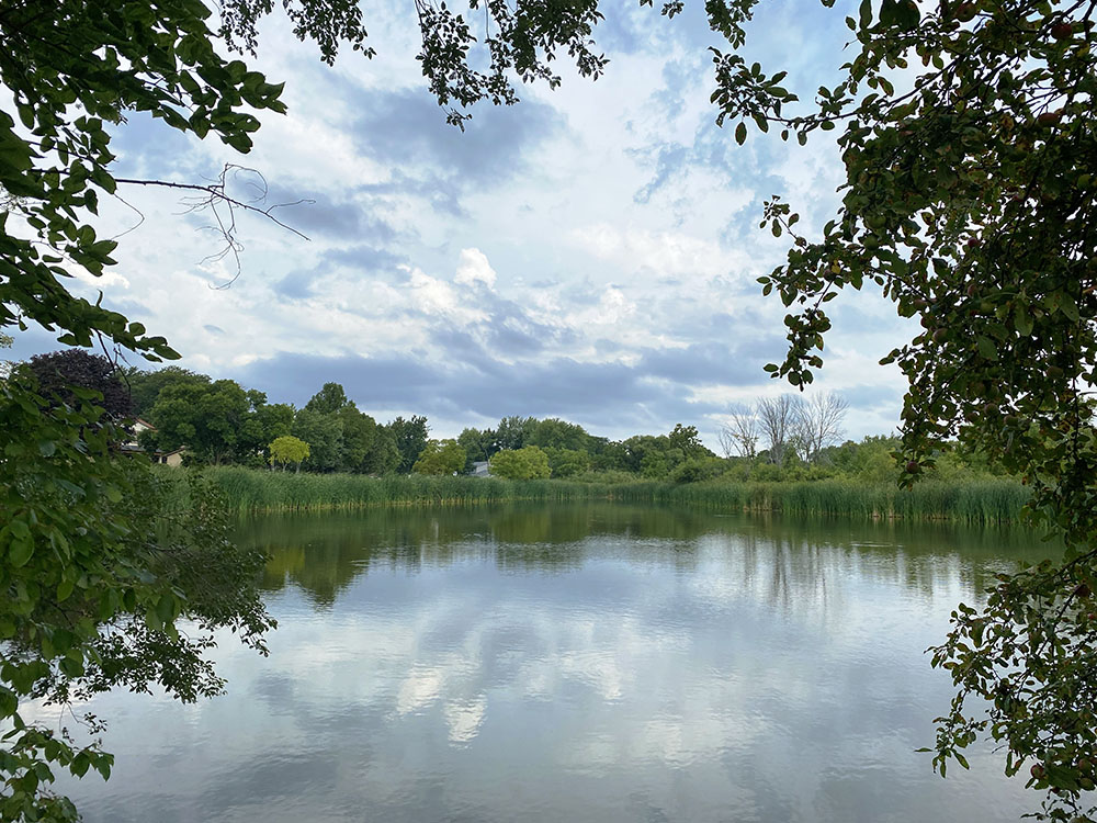 View of large pond.