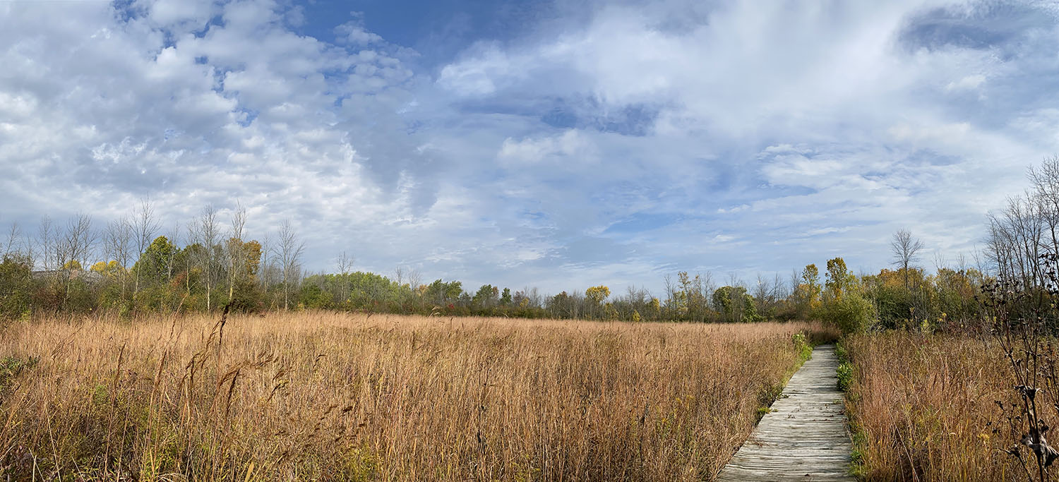 Grasslyn Nature Preserve boardwalk and prairie panorama