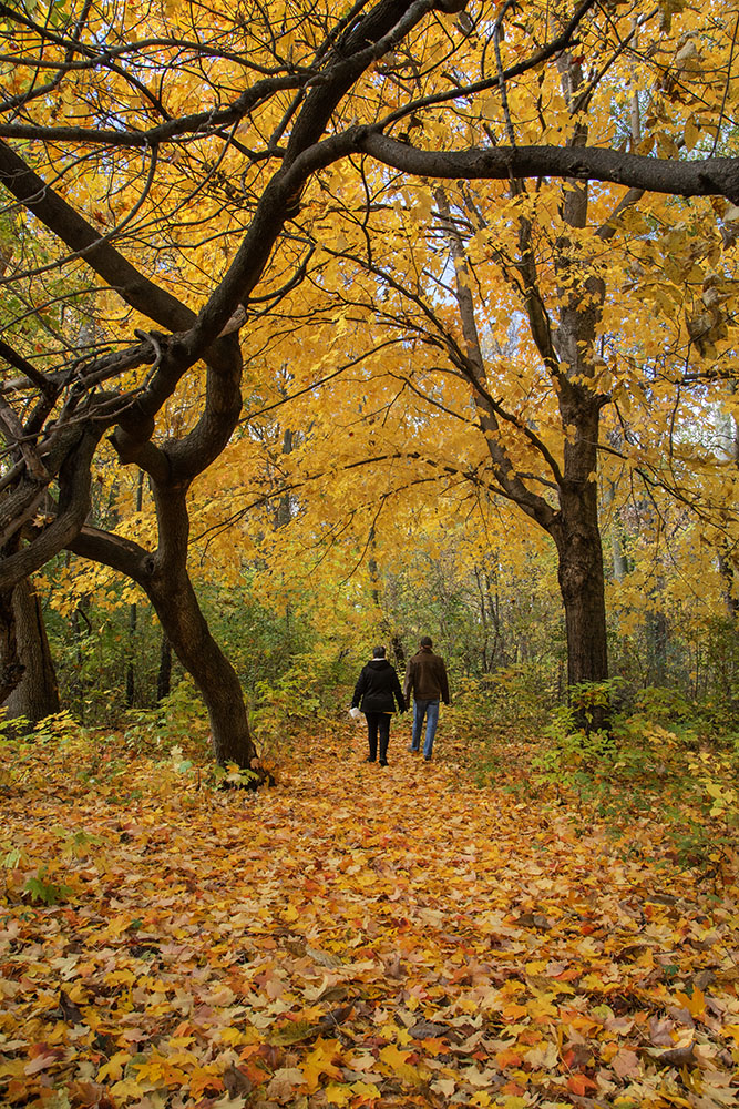 Greene Park, Milwaukee County