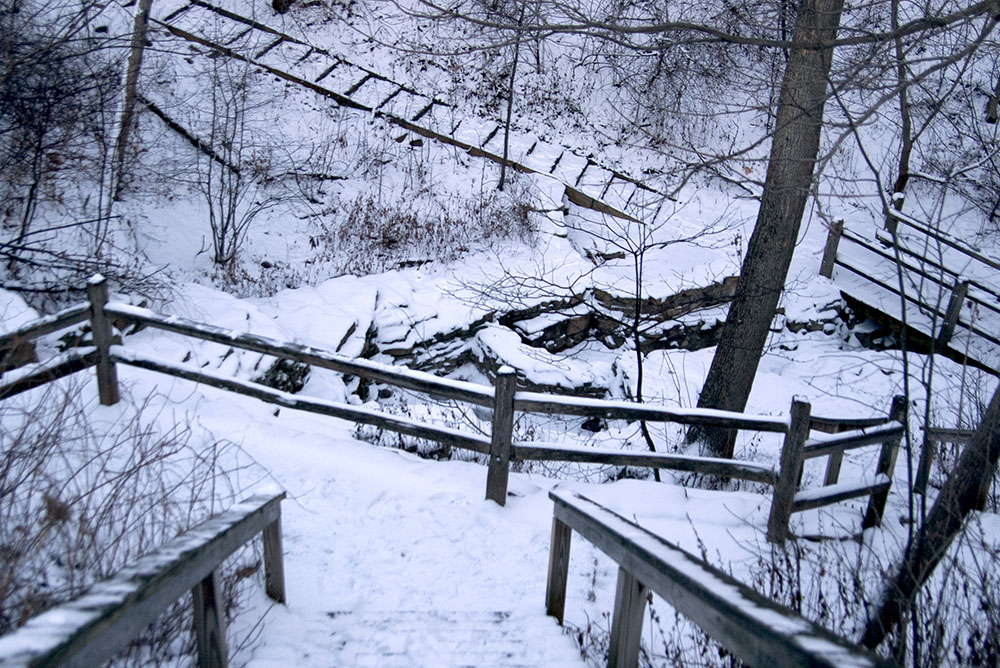 Lake Park Winter