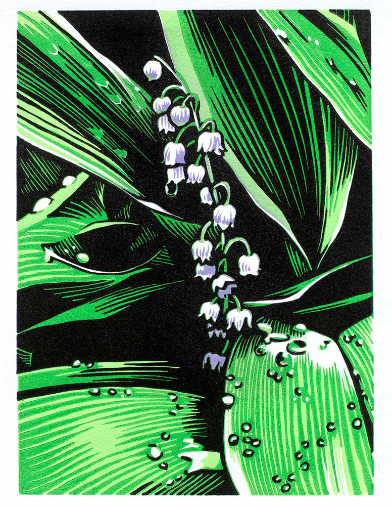 Lily of the Valley, linocut, 8"x10"