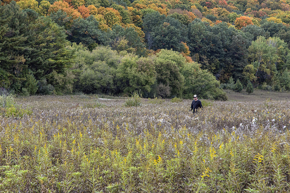 Solitary hiker, Kettle Moraine State Forest - Loew Lake Unit