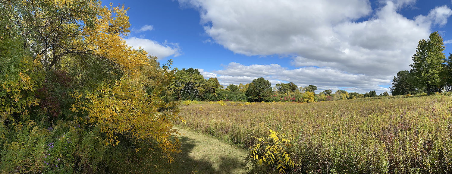 Kisdon Hill Park Panorama