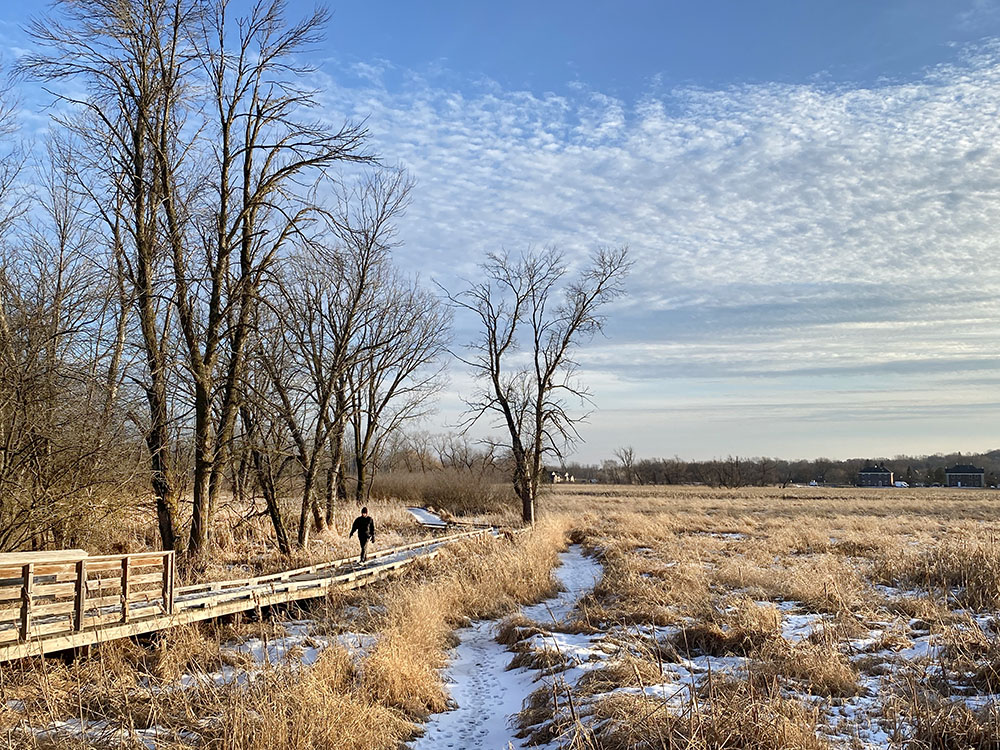 A solitary hiker in Lilly Heights Park, Brookfield.