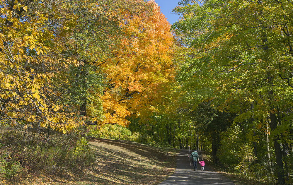 Long Lake Recreation Area, Kettle Moraine State Forest - Northern Unit.