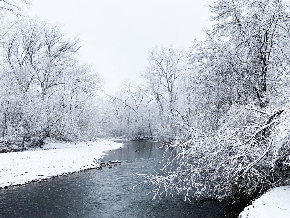 Menomonee River at Hoyt Park, Wauwatosa.