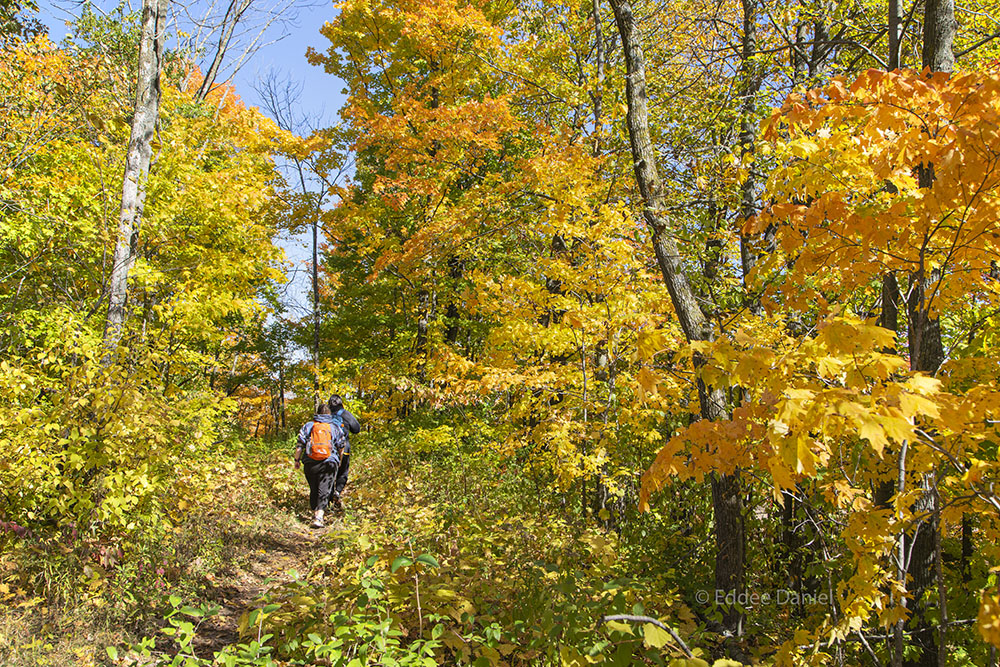 Hikers on the Butler Lake Segment of the Ice Age Trail in autumn glory!