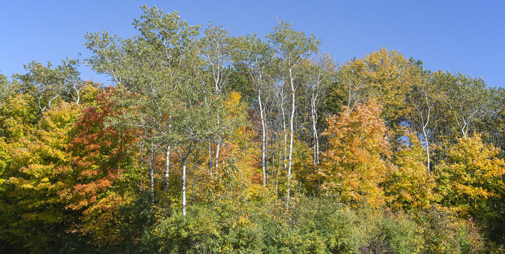 An autumn panorama at another trailhead in the Northern Unit.