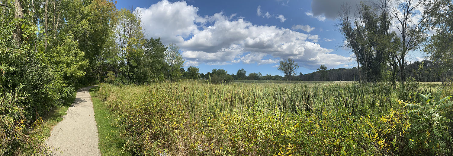 Lilly Heights Park Panorama