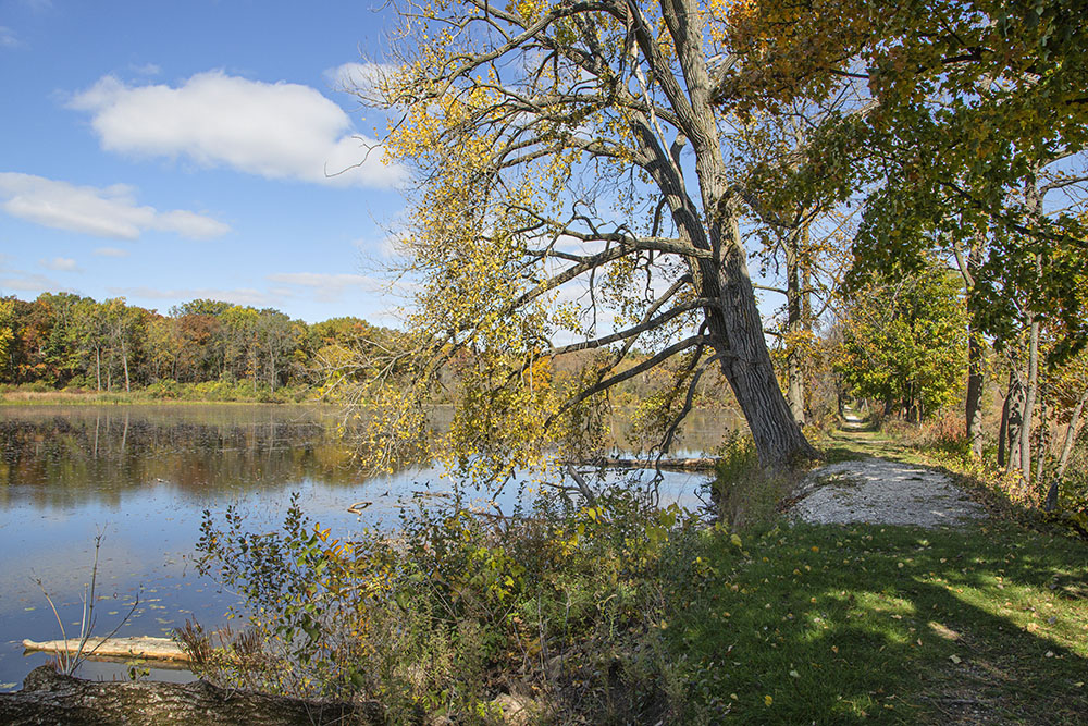 Dike trail and pond.