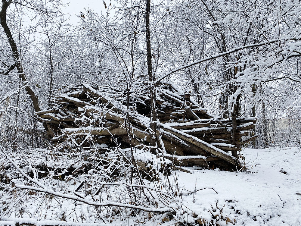 A massive stick fort made of logs! Hoyt Park, Wauwatosa.