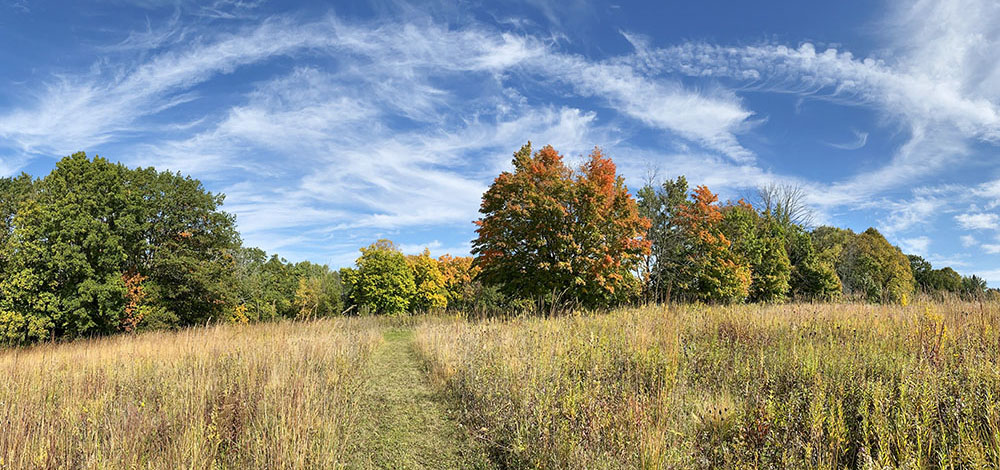 Joan M. Pick Preserve in autumn glory