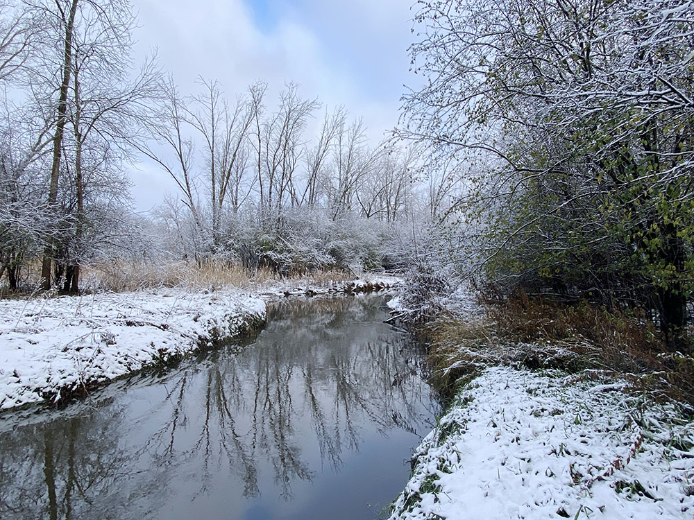 The Little Menomonee River itself. Little Menomonee River Parkway, Milwaukee.