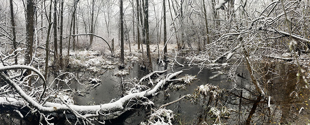 A wetland panorama. Little Menomonee River Parkway, Milwaukee.