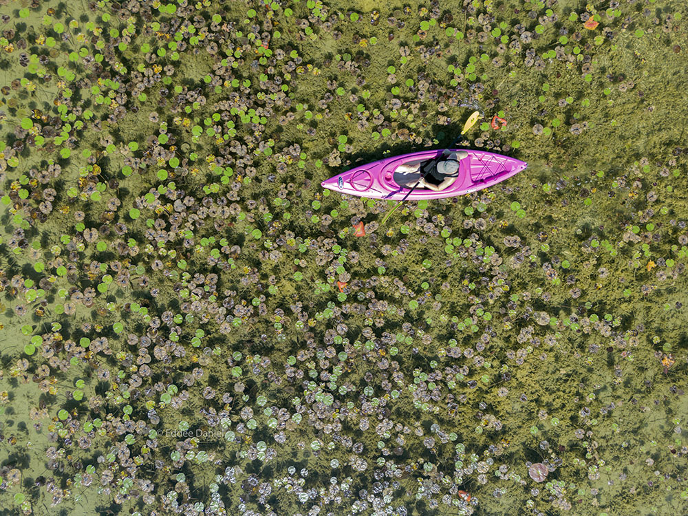 Lisa Leick kayaking on Lake Twelve.