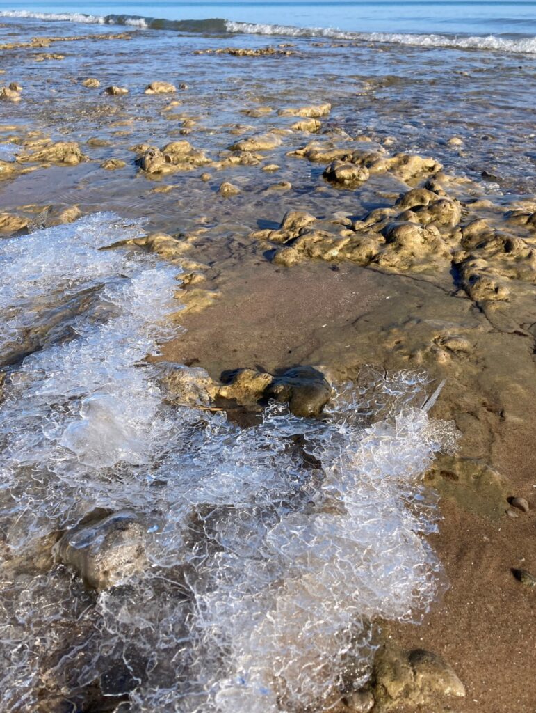 Waves and wind piled delicate fragments of ice along the shore