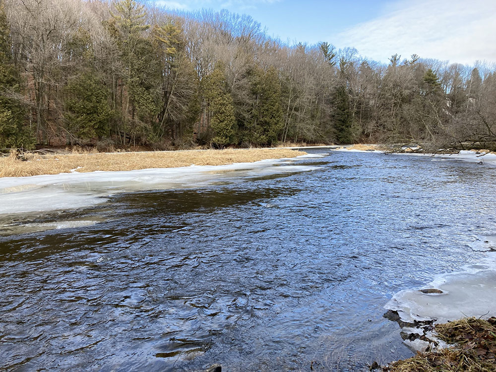 Downriver--with a brief touch of sun.