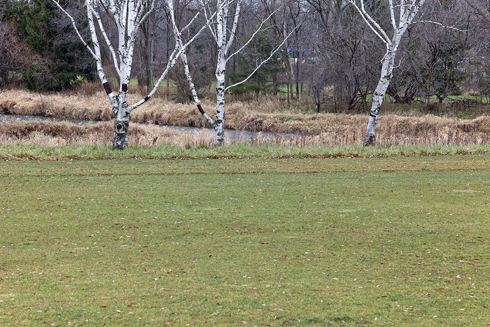 Menomonee River beyond the green lawn of the golf course