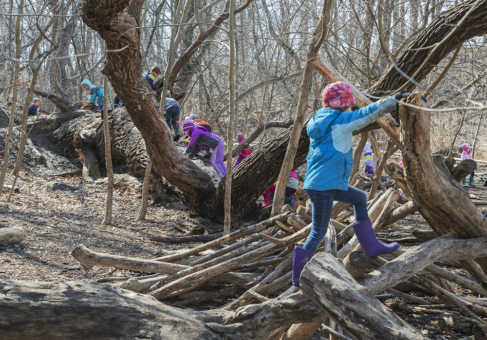 Children playing on a fallen tree in Riverside Park, Milwaukee.