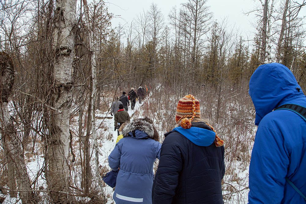 The lead hikers head into the bog on the boardwalk.