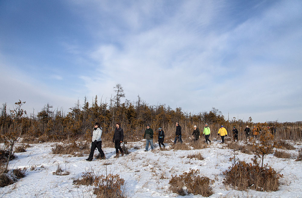 The hike progresses deep in the bog.