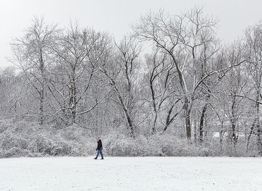 The Oak Leaf Trail runs along the riparian trees of the Menomonee River.