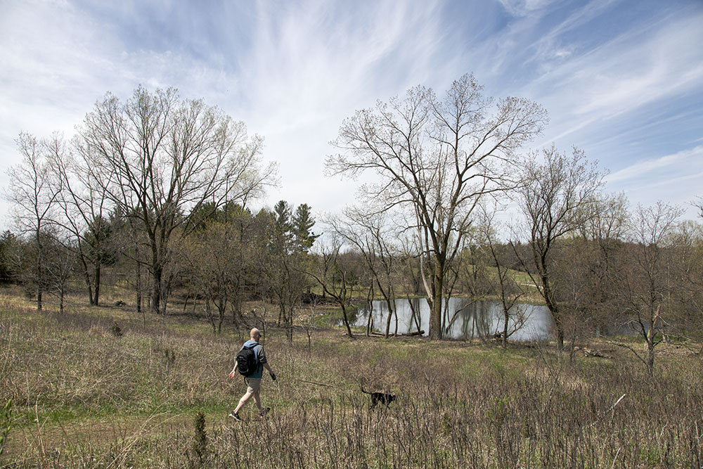 Waking the dog on the Ice Age Trail in the Lapham Peak Unit of the Kettle Moraine State Forest, Waukesha County.