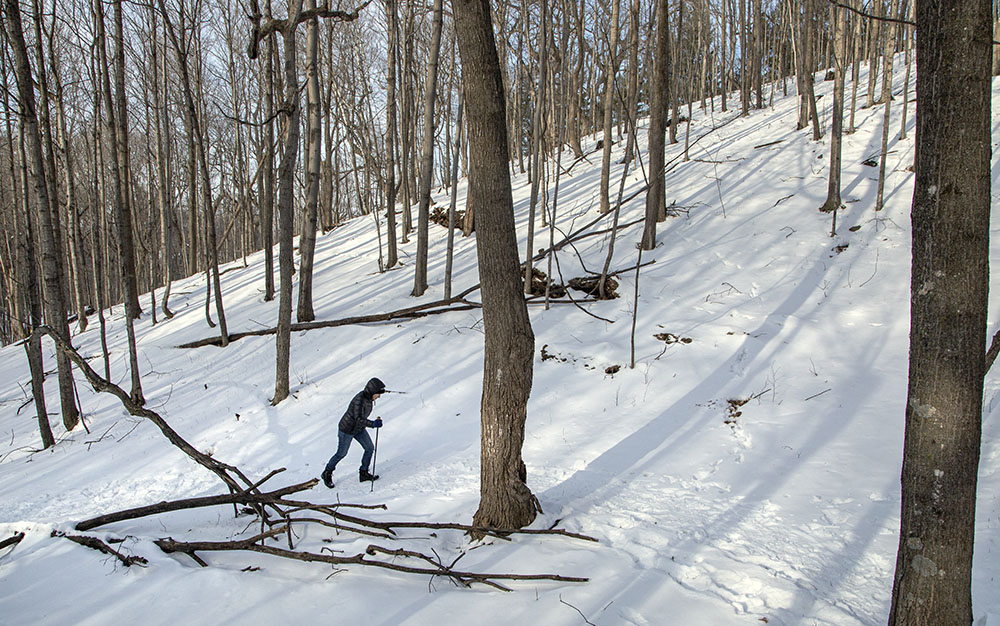 Hiking up one of the Kames at Fox Hill Nature Preserve, Washington County.