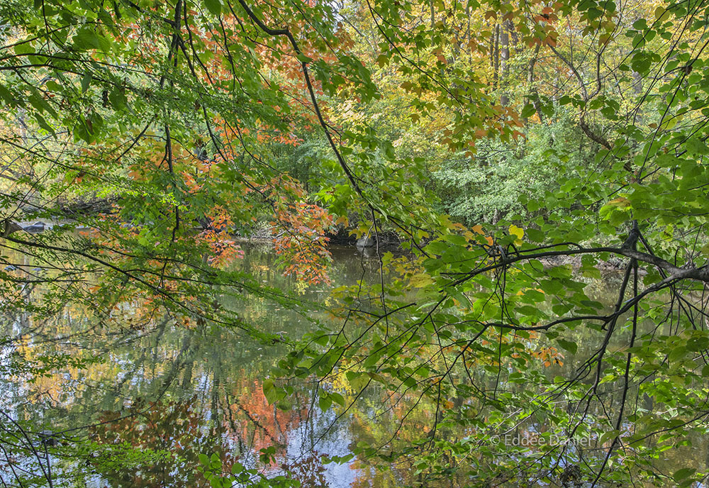 Lyrical Layers. Menomonee River Parkway, Wauwatosa.