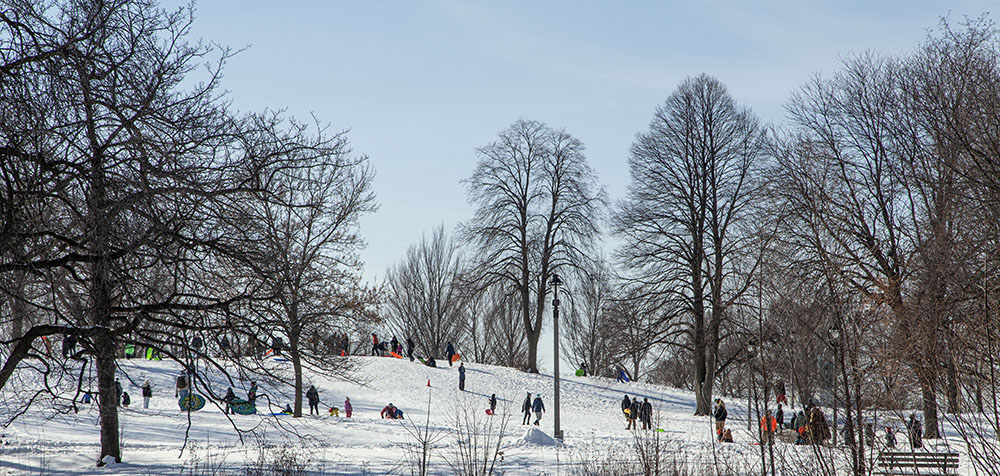 Sledding Hill at Washington Park