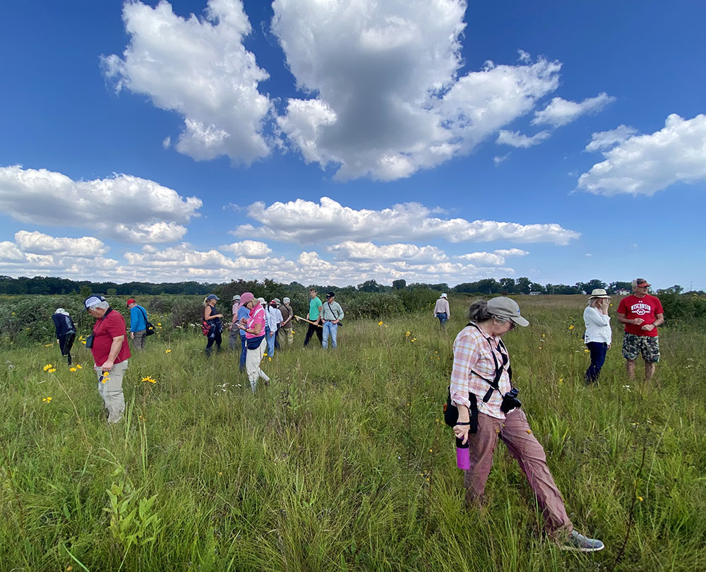 A guided tour looking for wildflowers in Chiwaukee Prairie State Natural Area, Kenosha County.