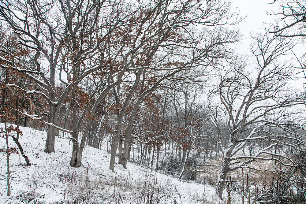 The Lunt-Fontanne Nature Trail in Genessee Depot is part of the Ten Chimneys Foundation property. 