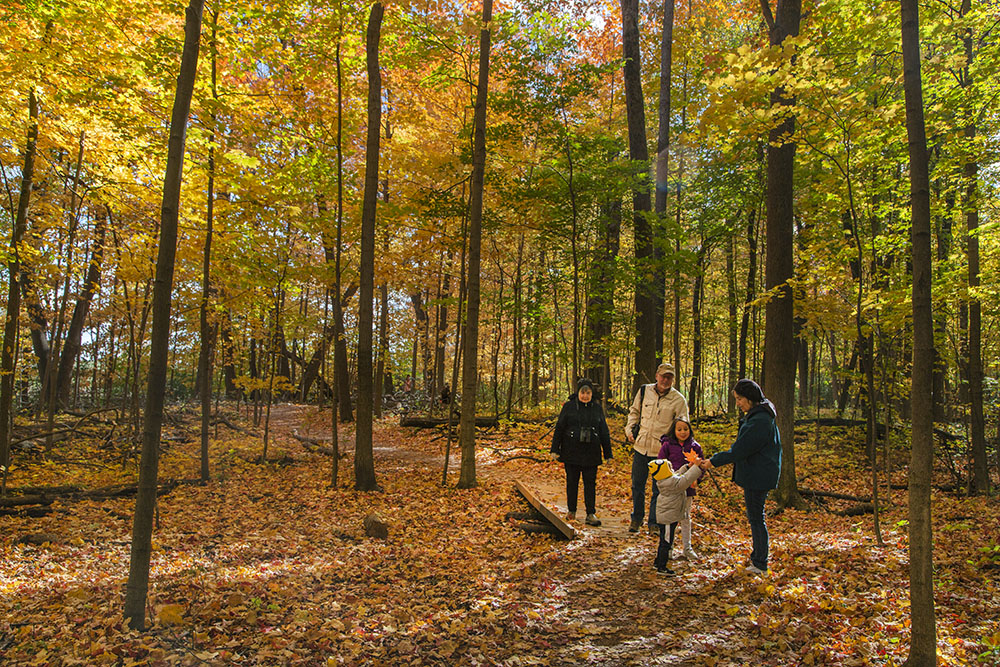 A multi-generational outing in the Forest Exploration Center on the Milwaukee County Grounds, Wauwatosa.