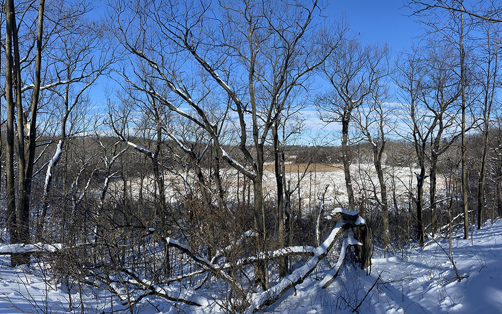 Wehmhoff Woodland Preserve in Burlington, Racine County also has stunning glacial features! I guess I was drawn to this distinctive Wisconsin landscape type.