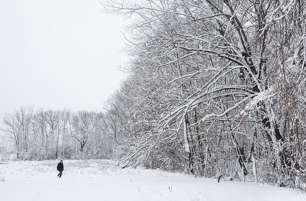 A fellow explorer approaches the FEC woodland.