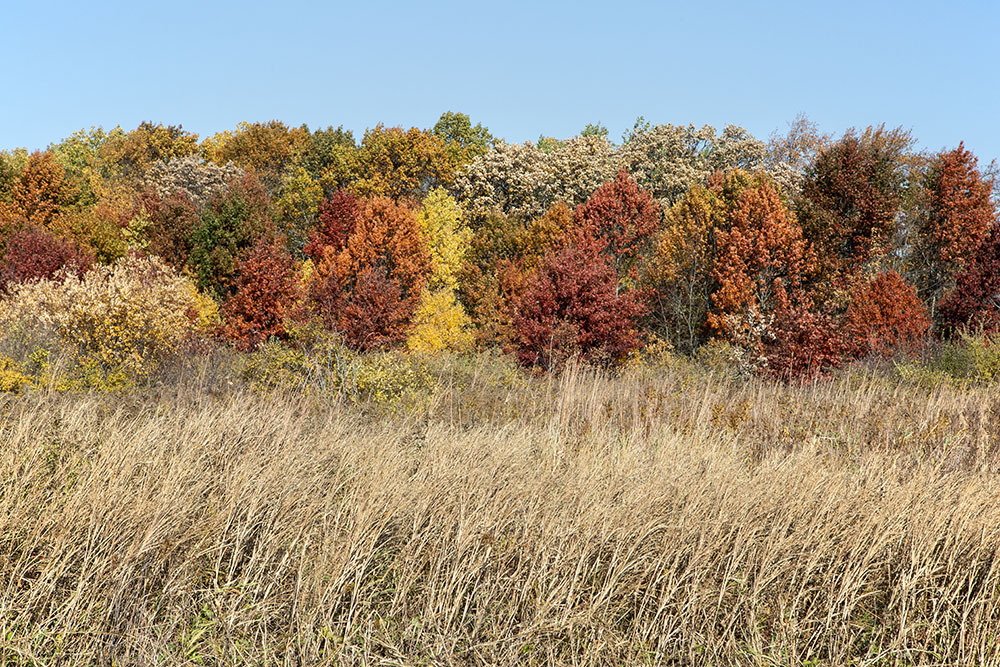 A layer cake of autumn colors.