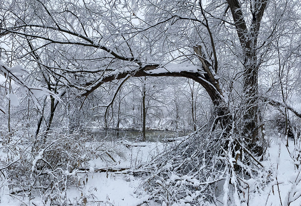 The Menomonee River from the wild side of Hoyt Park.