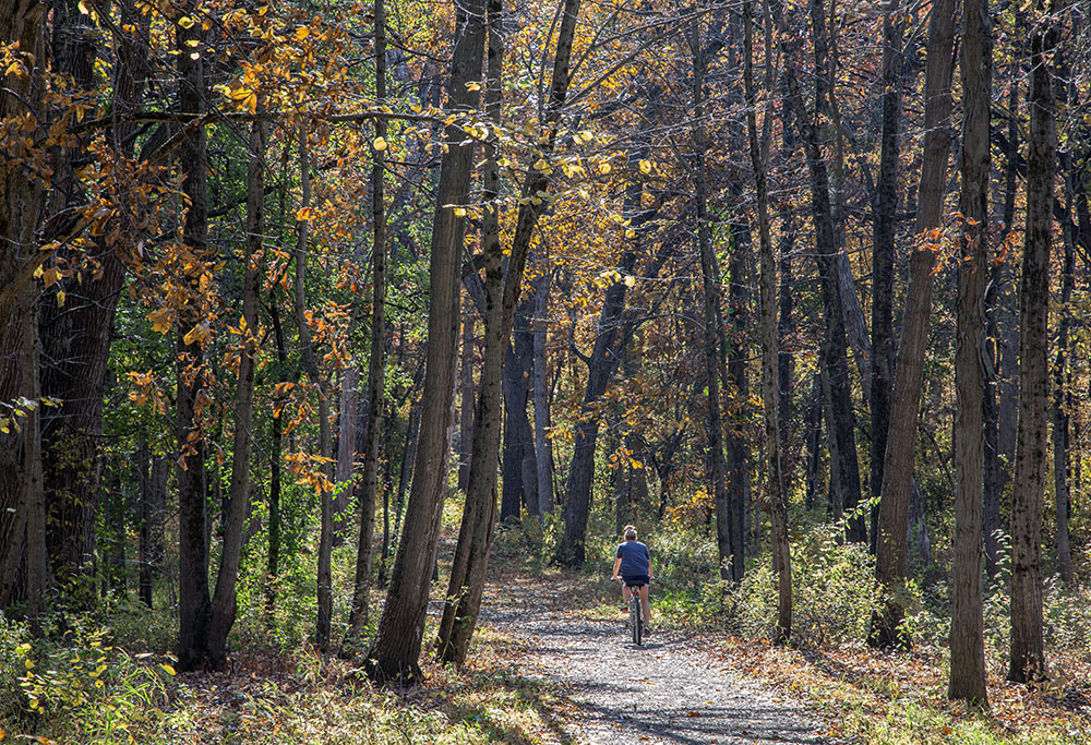 A cyclist on the multipurpose Donald Hackbarth Trail.