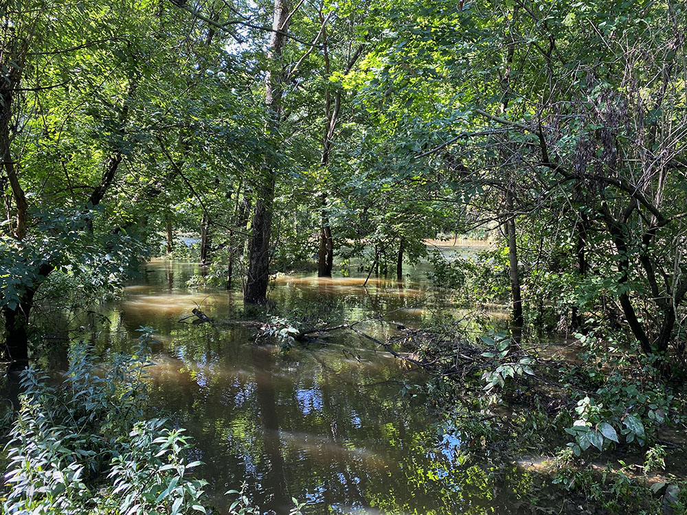 Much of the Menomonee River Parkway is flood plain, which when it floods adds to its wildness.