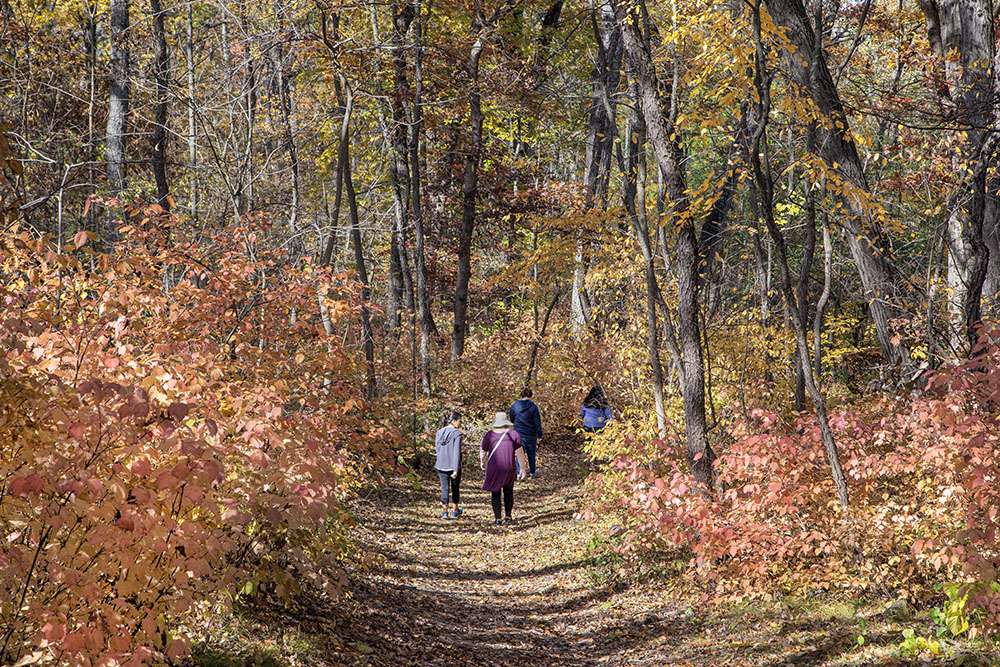 A family heads out on the woodland trail.