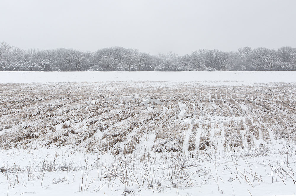 Snow-covered west detention basin.